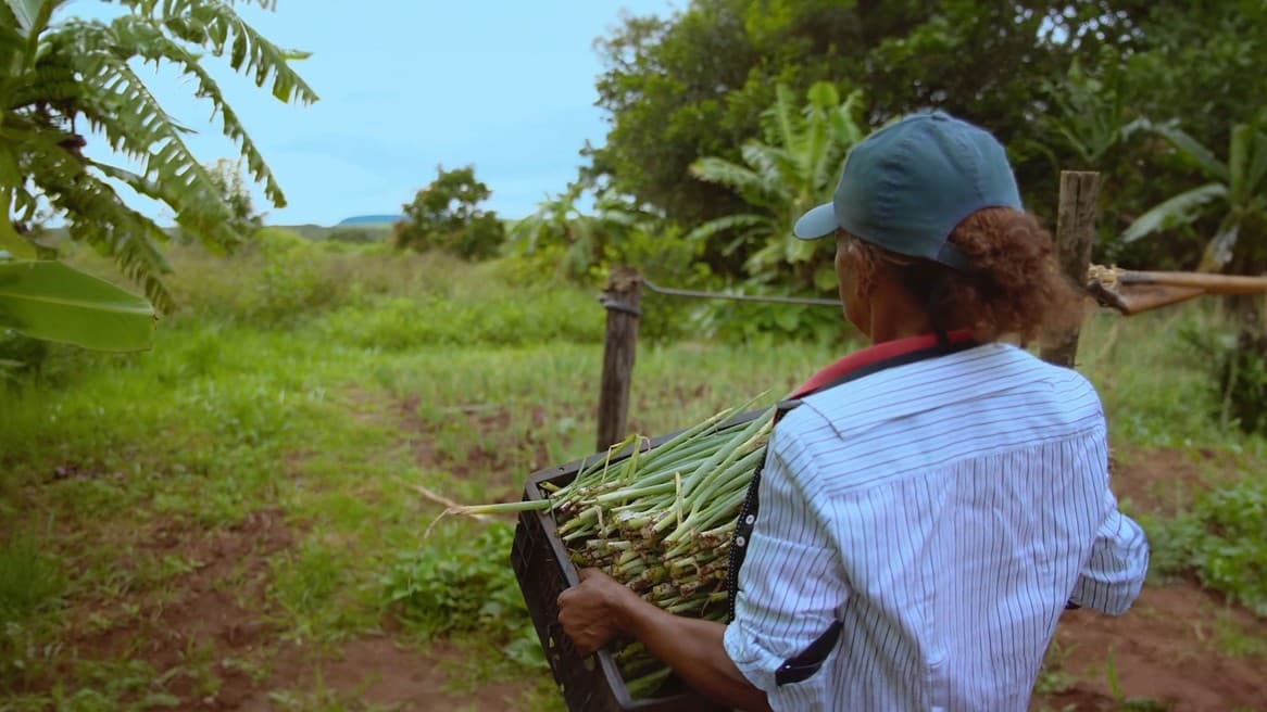 El Eco en Mí