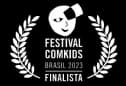 Festival 8